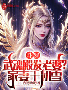 斗罗:武魂殿发老婆?家妻千仞雪