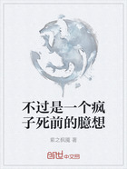 不過是一個(gè)瘋子死前的臆想在線閱讀