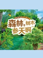 画给孩子的自然通识课:森林,树木参天啊在线阅读