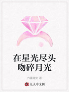 在星光尽头吻碎月光在线阅读