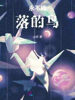 永不栖落的鸟在线阅读