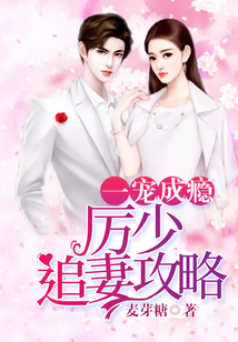 一寵成癮:厲少追妻攻略