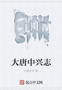大唐中興志