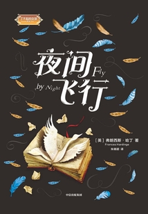 夜间飞行