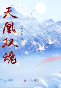 天凰雙魂