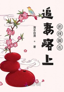 追妻路上的絆腳石