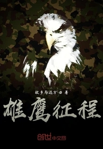 Eagle's Journey