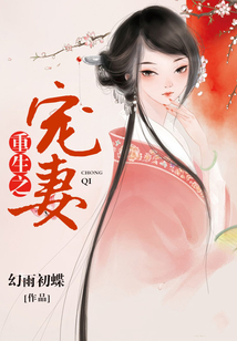重生之寵妻
