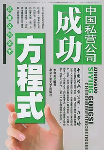 中國私營公司成功方程式
