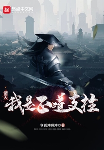 诸天:我是正道支柱