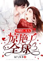 闪婚后,夫人惊艳了全球在线阅读