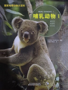 国家地理动物大百科:哺乳动物Ⅰ在线阅读