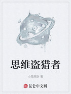 思维盗猎者在线阅读