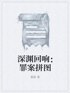 深淵回響：罪案拼圖在線閱讀