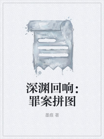 深淵回響：罪案拼圖