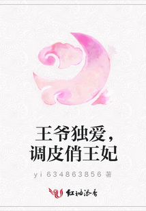 王爺獨愛,調皮俏王妃