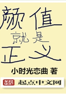 颜值就是正义在线阅读