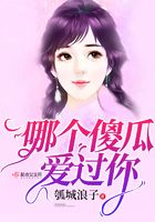 哪個傻瓜愛過你在線閱讀