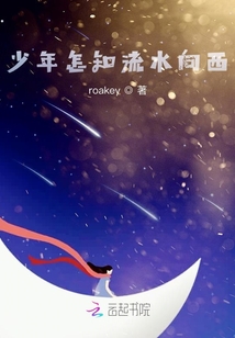 少年怎知流水向西