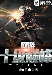 網游十級巔峰