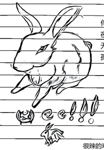 伴夜無孤