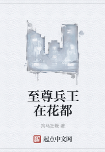 至尊兵王在花都