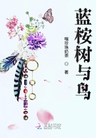 蓝桉树与鸟在线阅读