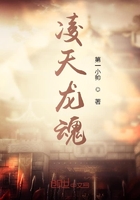 凌天龙魂在线阅读