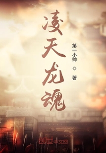 凌天龍魂