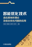 智能优化技术：适应度地形理论及组合优化问题的应用在线阅读