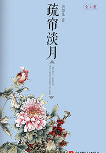 疏帘淡月(全集)