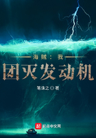 海贼:我,团灭发动机