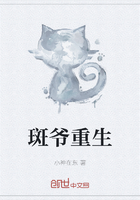 斑爺重生在線閱讀