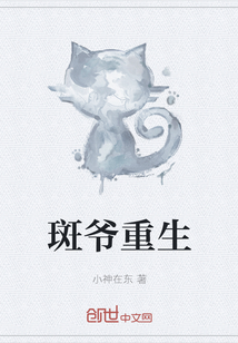 斑爺重生