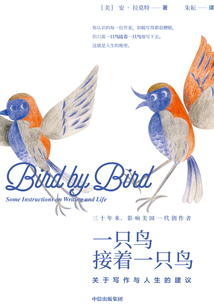 一只鳥接著一只鳥：關于寫作與人生的建議