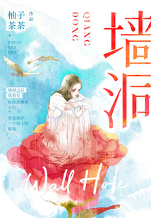 墙洞