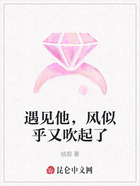 遇见他,风似乎又吹起了在线阅读