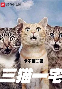三貓一宅