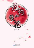 灼灼如鏡花在線閱讀