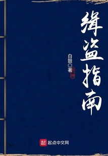 缉盗指南