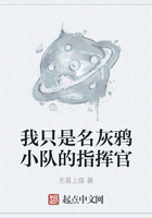 我只是名灰鸦小队的指挥官在线阅读