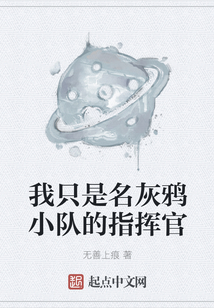 我只是名灰鴉小隊的指揮官