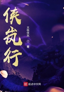 侠岚行