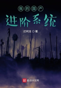 我的國產進階系統