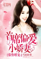 首席偏爱小娇妻在线阅读