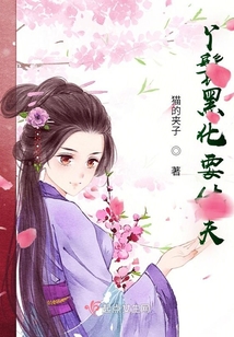 丫鬟黑化要休夫