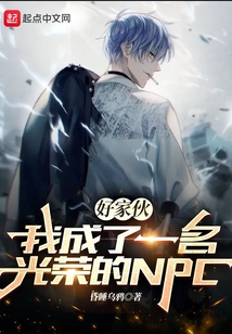好家伙，我成了一名光榮的NPC