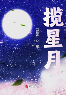 攬星月