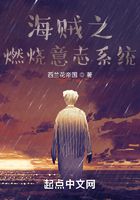 海贼之燃烧意志系统在线阅读