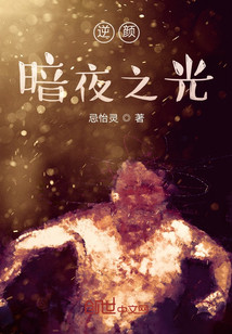 逆顏暗夜之光